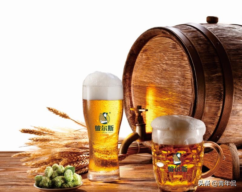 从不同的酒类来看，山东省有哪些好喝的名酒