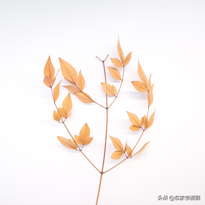 想拍出創(chuàng)意產(chǎn)品照？試試4種創(chuàng)意布光技巧，在家就能拍