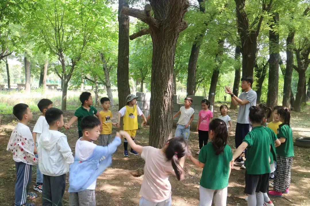 幼儿教育专业招生简章