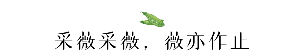 《诗》中雅味