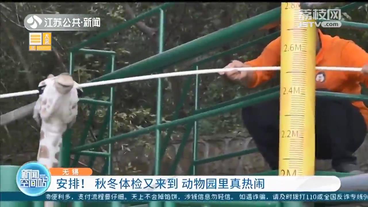 秋冬体检又来到 无锡动物园里真热闹