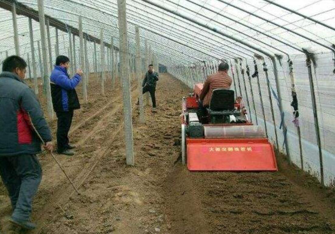蔬菜大棚土壤盐碱化，是何因素引起的，又该如何解决呢