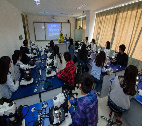 成都“超火”专业：入选国家一流本科专业、国家级特色专业，就业率、考研率双高！