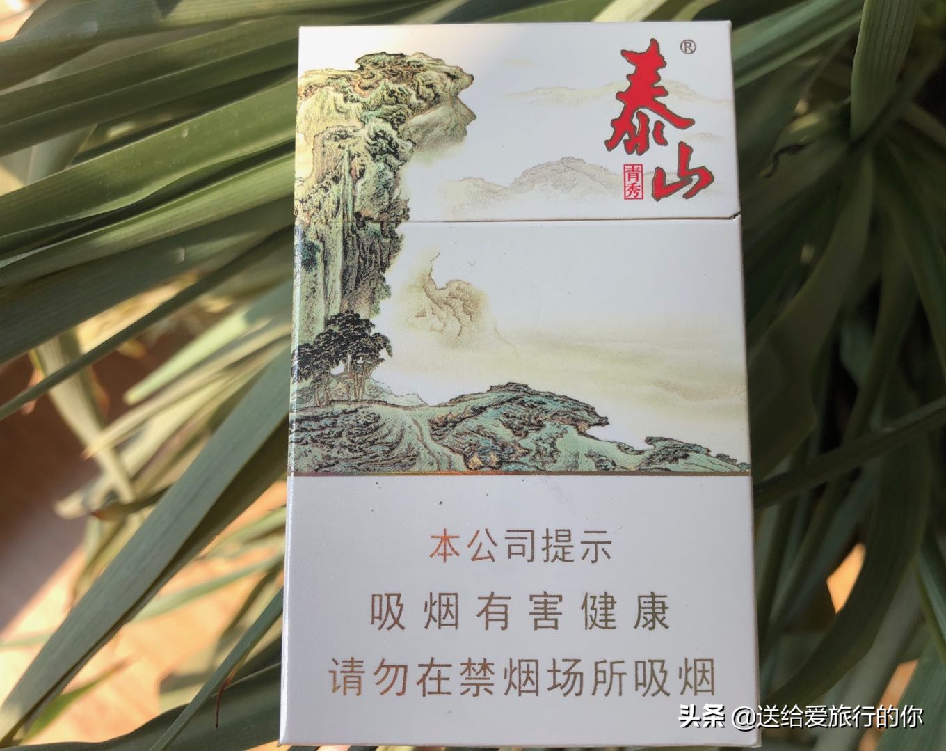 广西甲天下香烟哪里有销售(一支“香烟”带我们遨游中国)