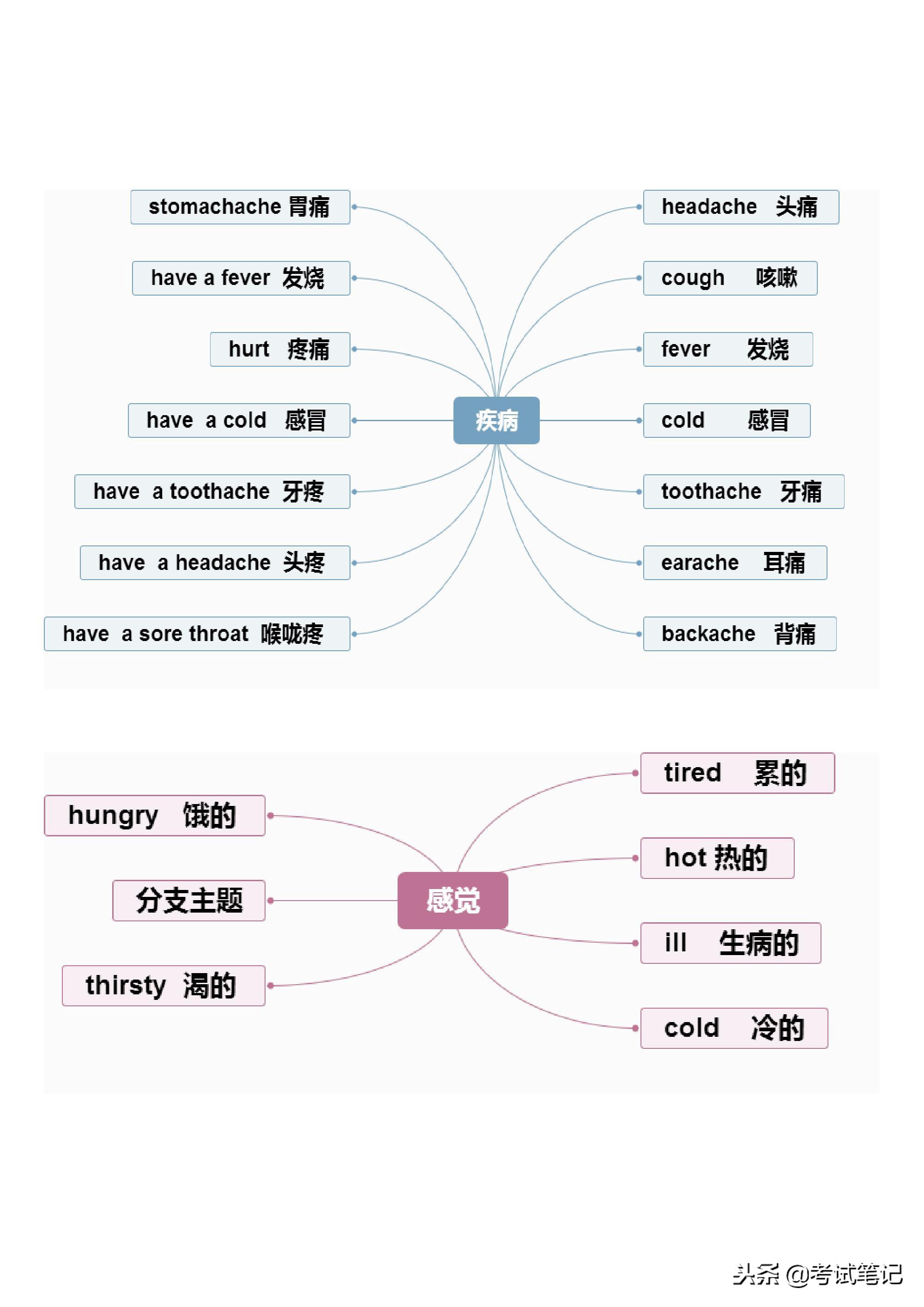 不愧是博士妈妈，将英语单词分类整理，孩子一周记完三年的单词！