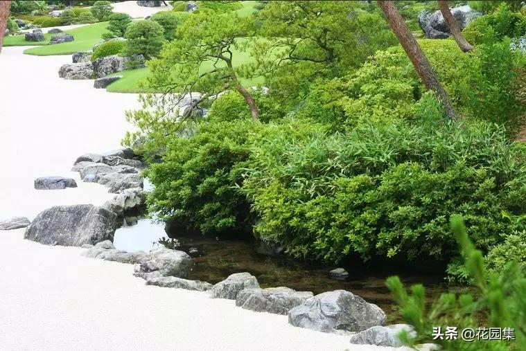 日式庭院该配什么植物?怎么配?看这里