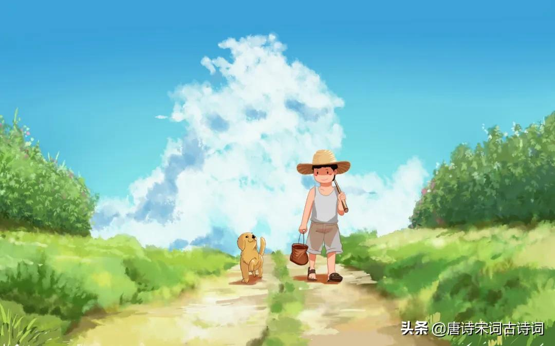 青山修竹矮篱笆,仿佛林泉隐者家