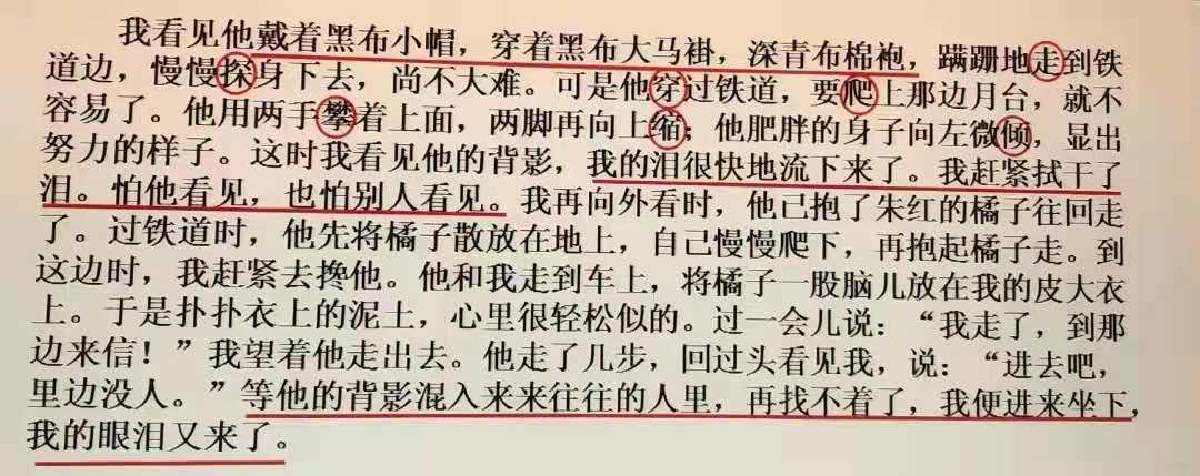 辅导班、学霸方法？资深语文老师坦言：作文高分只需1个秘诀