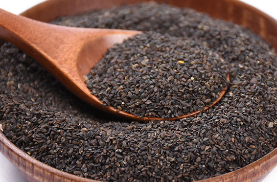 车前子-中药知识