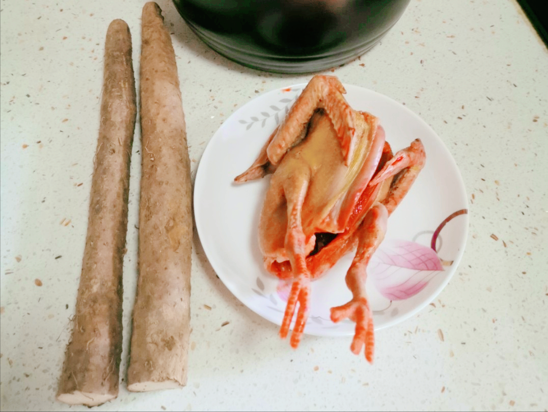 鴿子燉湯,鴿子燉湯怎么做好吃