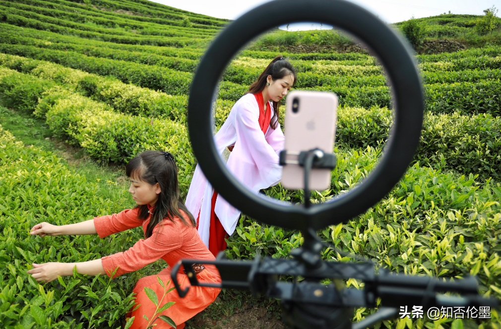 藏在农村的“暴利”小生意有哪些？想回村创业的，这几项值得考虑