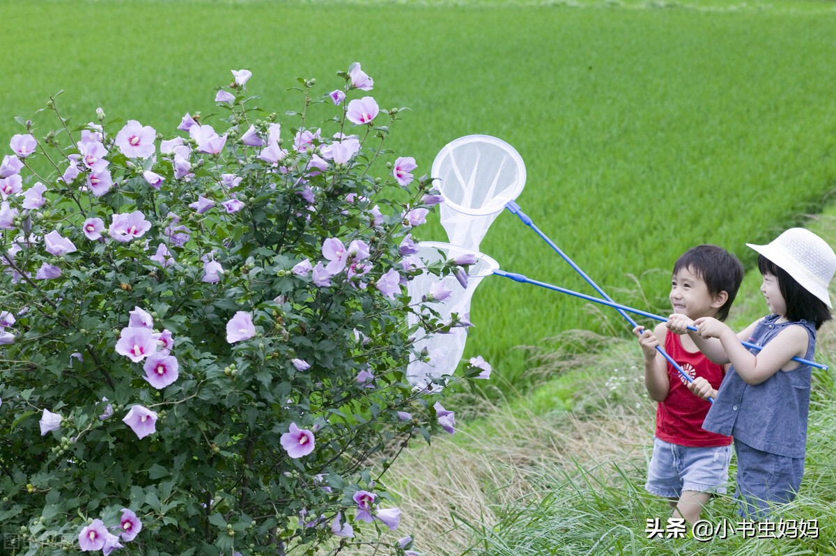 用自然教育，妈妈陪娃做5种有趣游戏，触发孩子的敏感“五感”