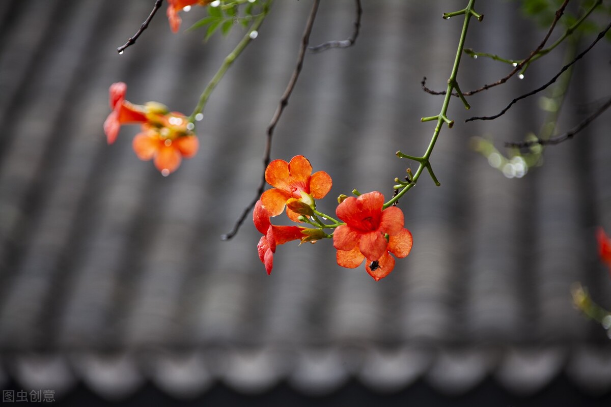 致唯一在乎的人：我从心里认定了你，想你，念你，但不打扰你