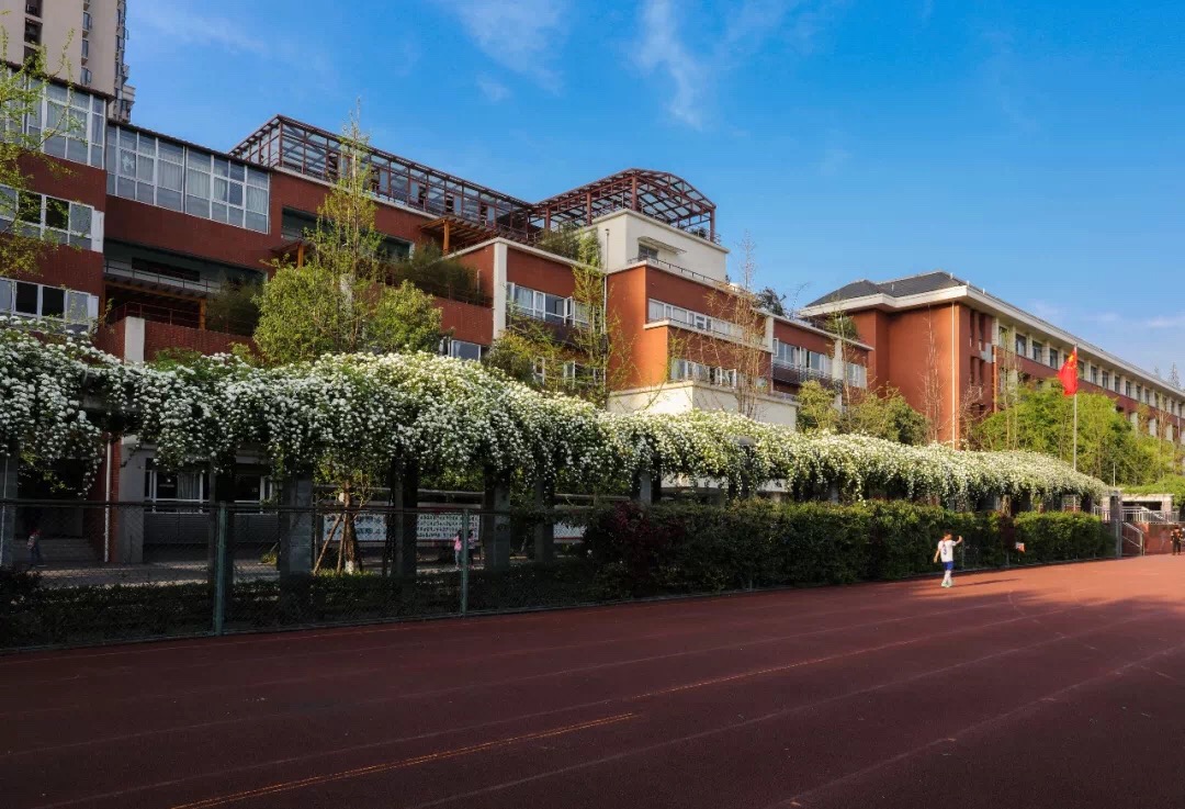 成都七中八一学校的理想教育2.0版上线，是不是你理想的教育？