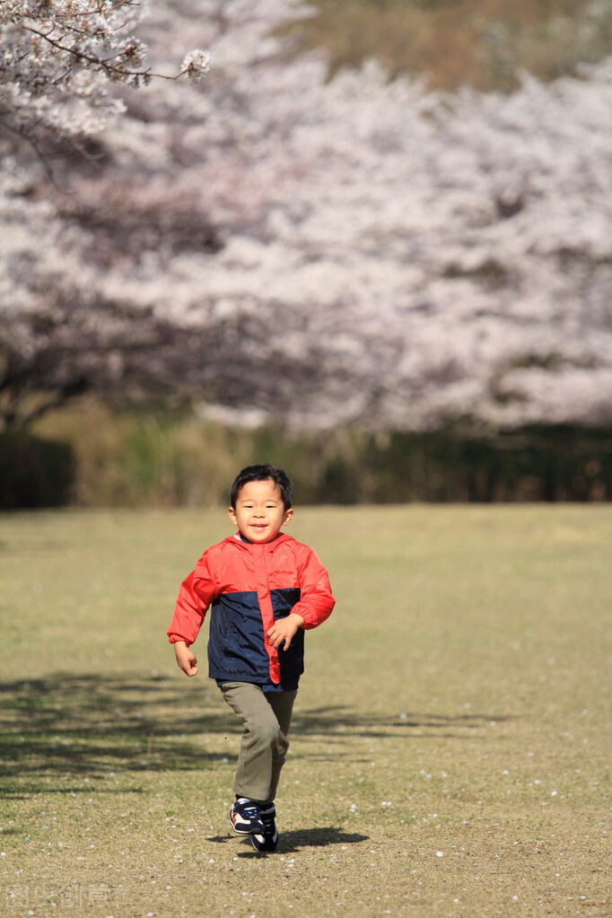 入秋后，妈妈多给孩子做4类润肺汤：孩子脾胃好，冬天不容易生病