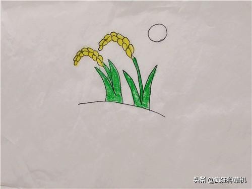 禾的画法简单图片