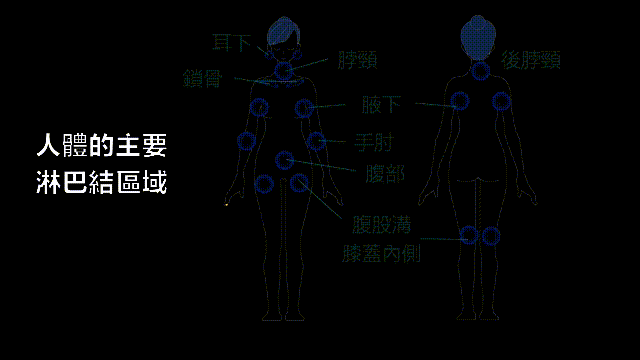 埃博拉：人类的诅咒，你的身体如何对抗它，它到底有多恐怖