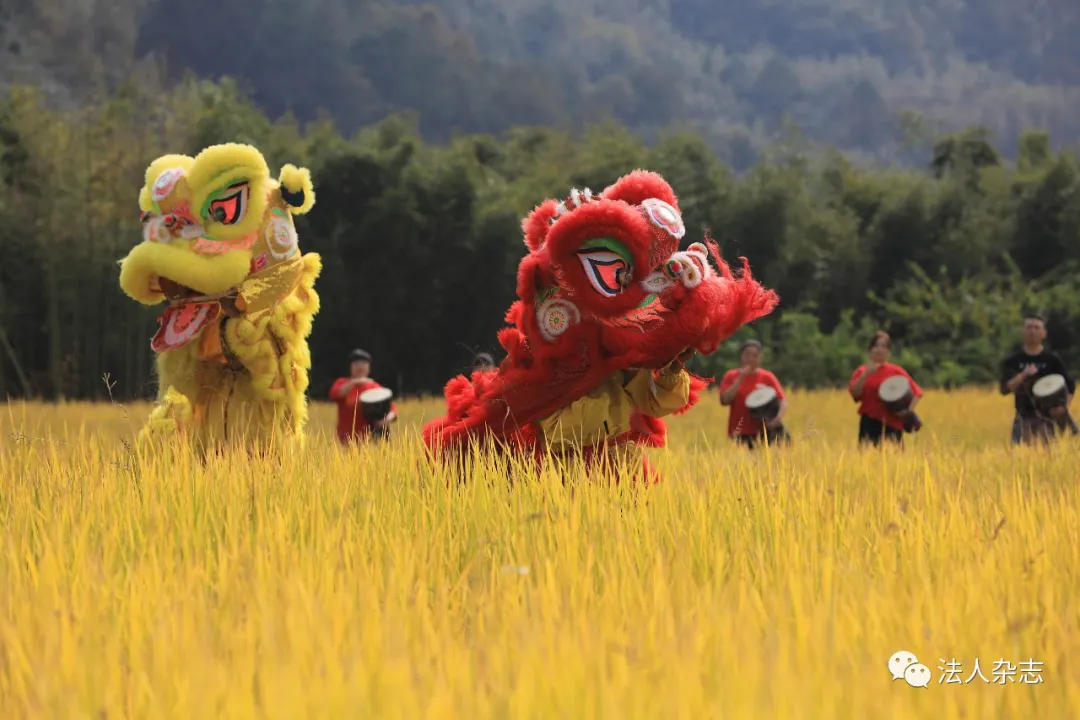 田园畅想:未来的乡村