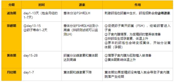 检查出多囊，医生开了药，吃了就来月经不吃就不来，这是怎么回事