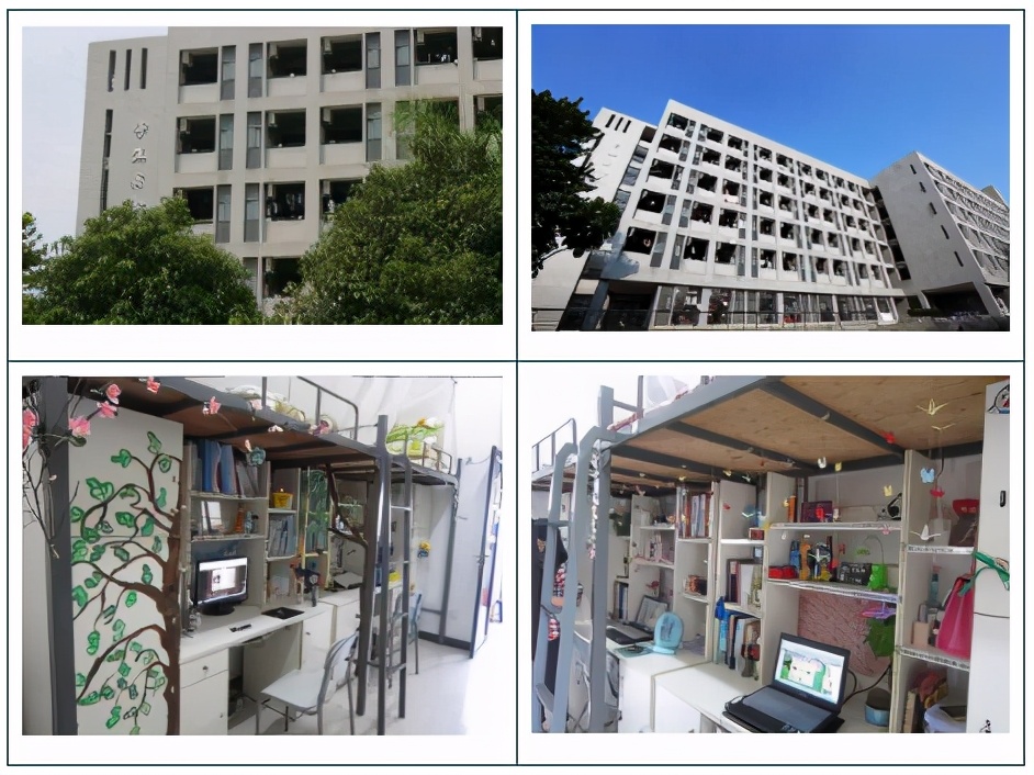 高职高考必看｜全面了解东莞职业技术学院