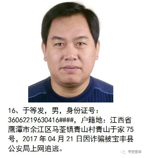 网上逃犯,网上逃犯名单查询系统