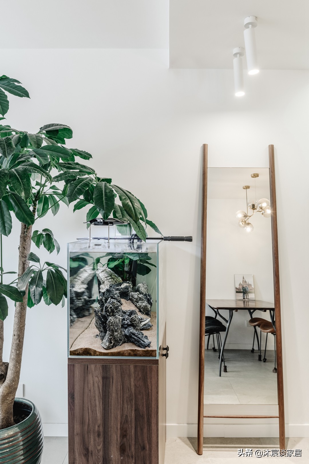 她家看着平淡，但简洁清爽，用窗帘隔出一间卧室，温馨且幸福