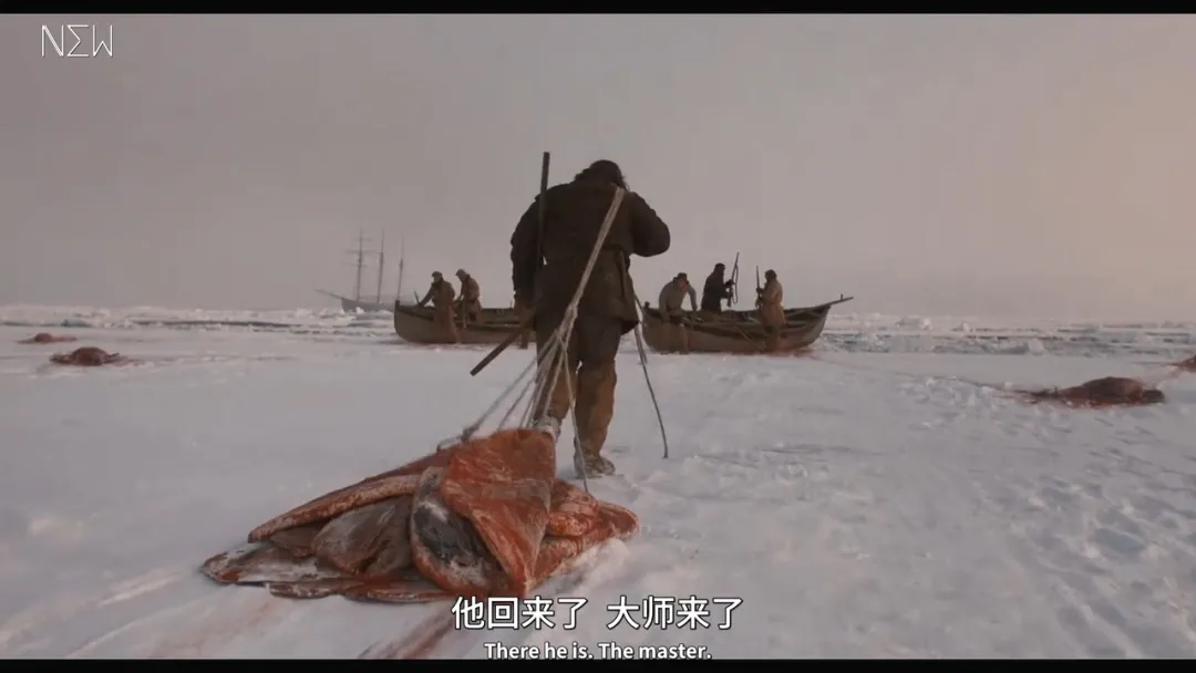 极地、猎杀 ... 这才是堪比《荒野猎人》的硬核剧