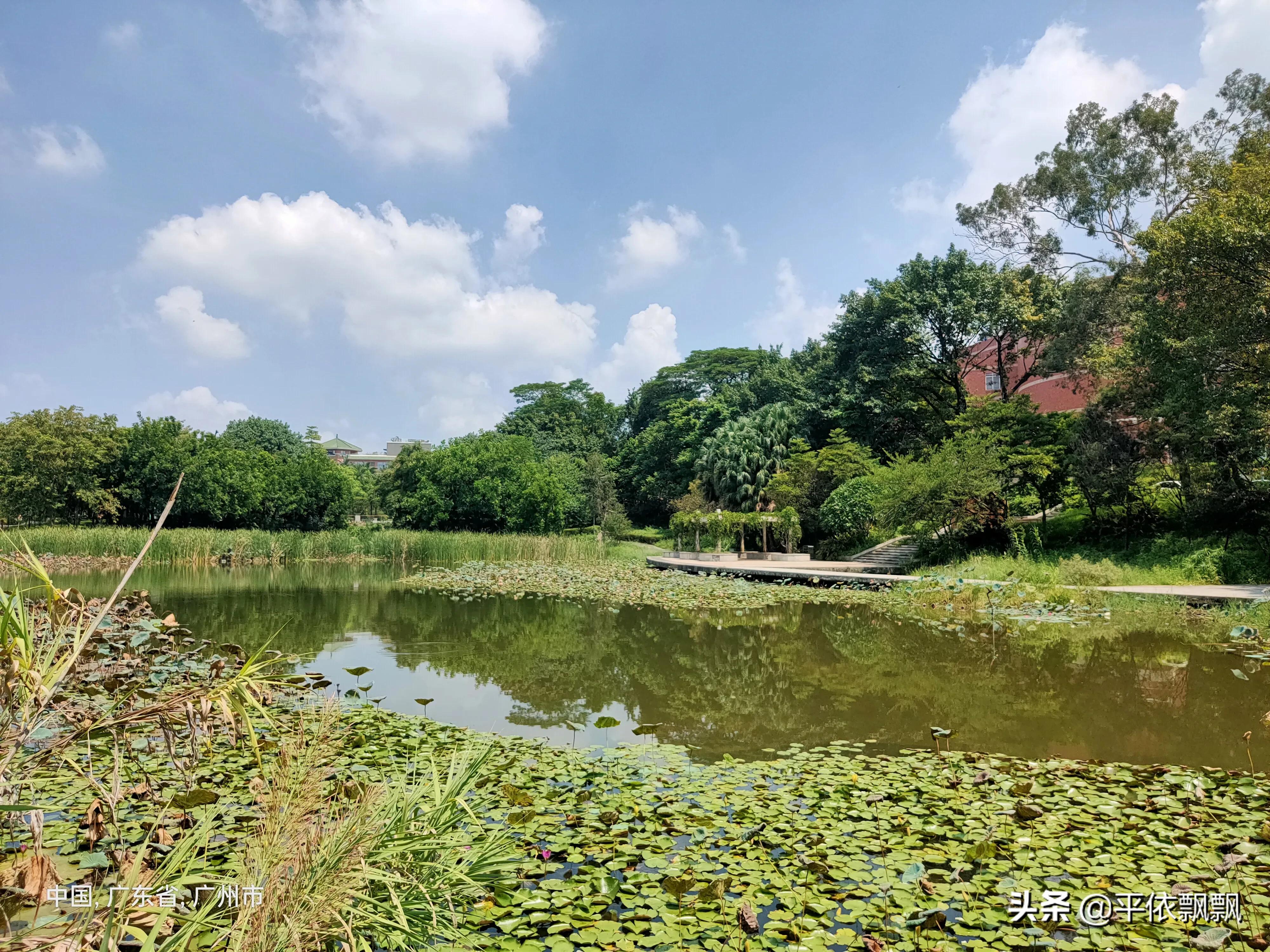 华南农业大学有五湖，一日能游完吗？