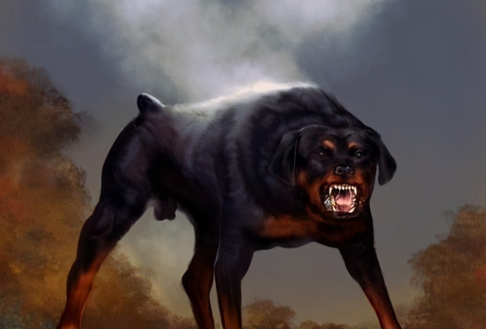 罗威纳这么"凶",为何还那么多人说想养呢?