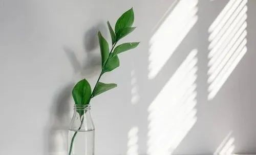 懂得求助，是一种大智慧