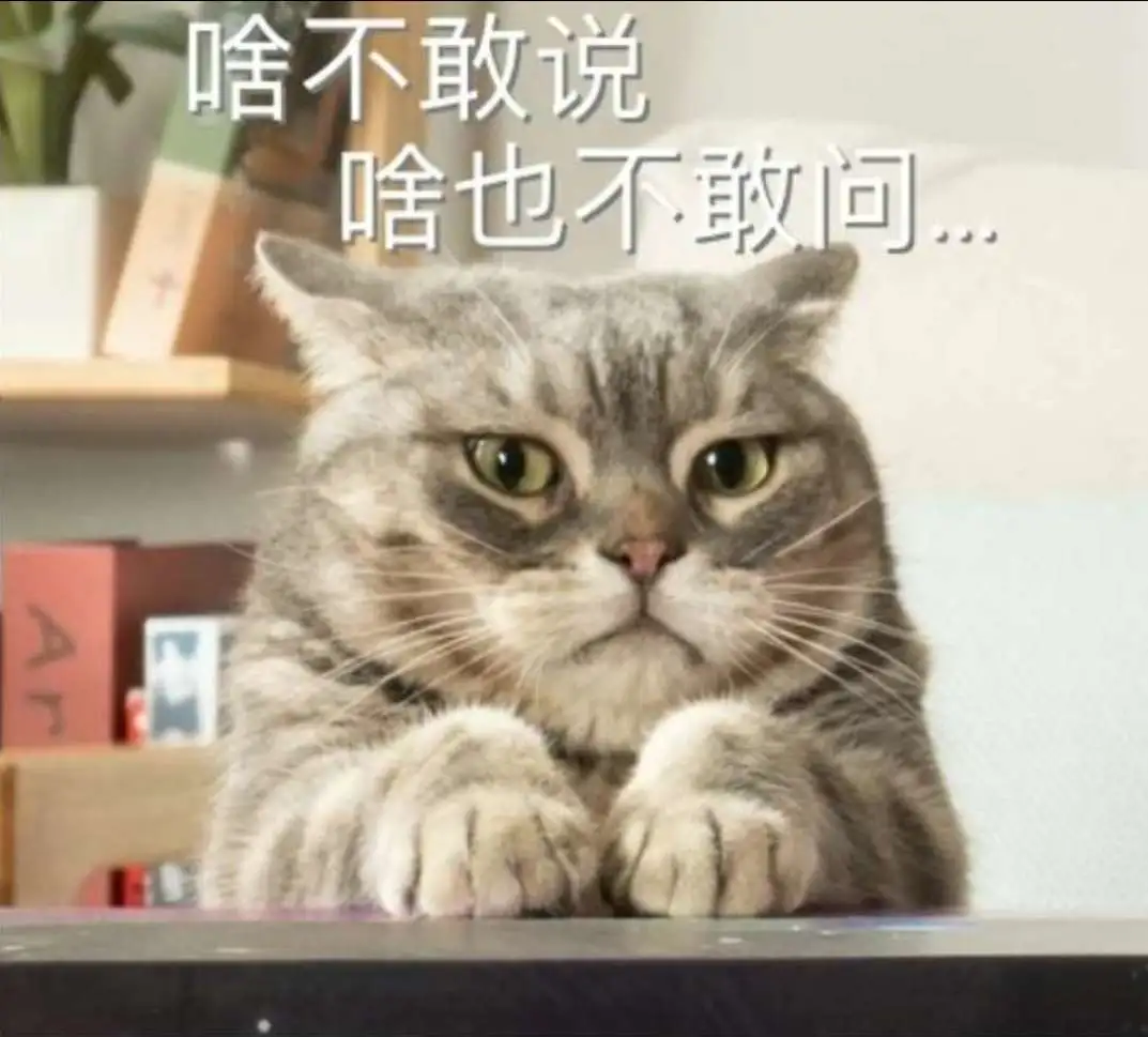 挤完公司10只猫的肛门腺后,办公室还好吗?