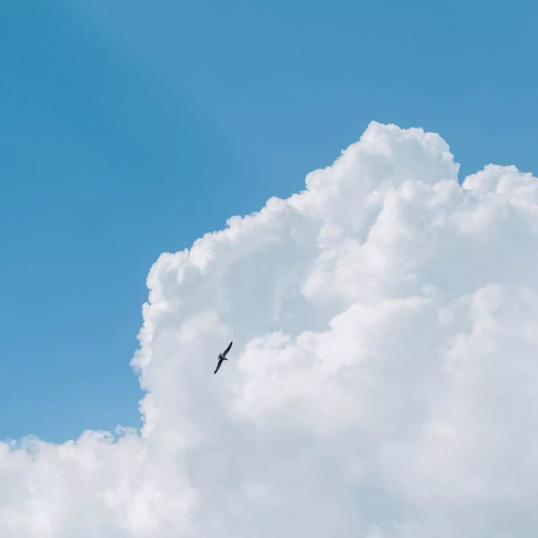 太美了！原来天空才是最万能的拍照背景板