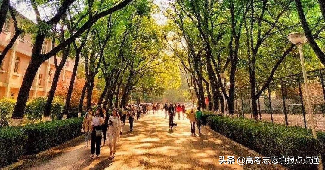 陕西师范大学优势专业分析及2019、2018、2017年各省录取分数线