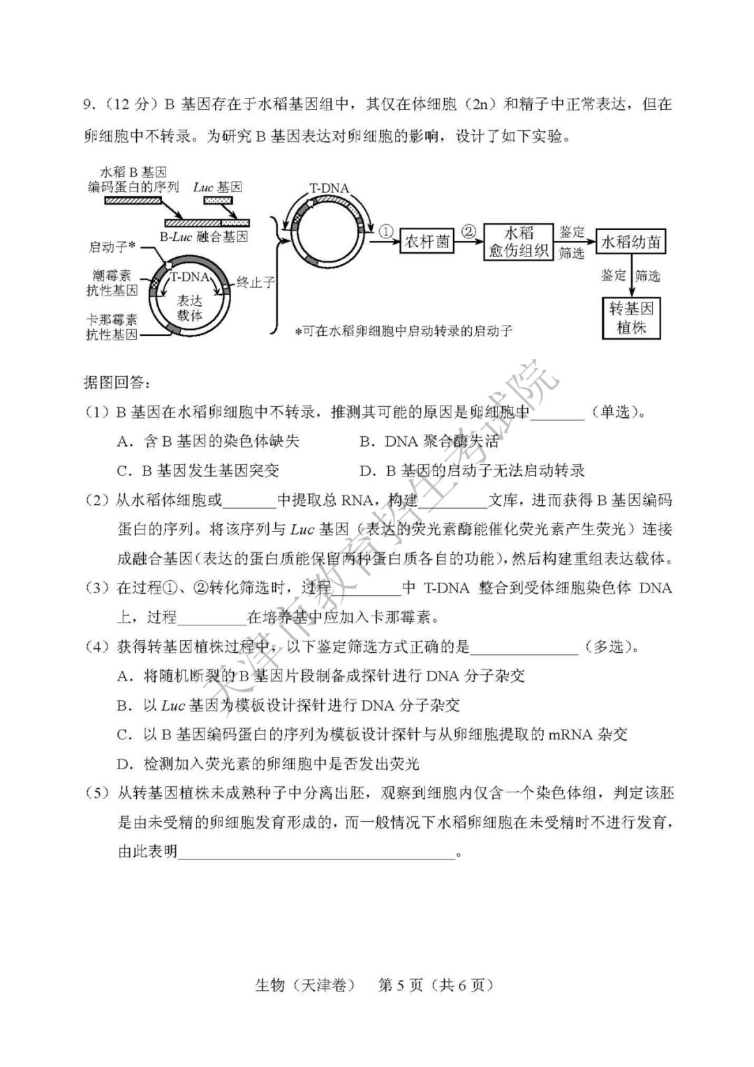 高考结束啦 | 2019年天津市普通高考各科目试卷及参考答案发布