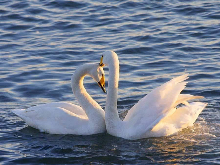 高考倒计时30天：爸爸醉酒误伤儿子，学霸儿子无缘高考，心痛！