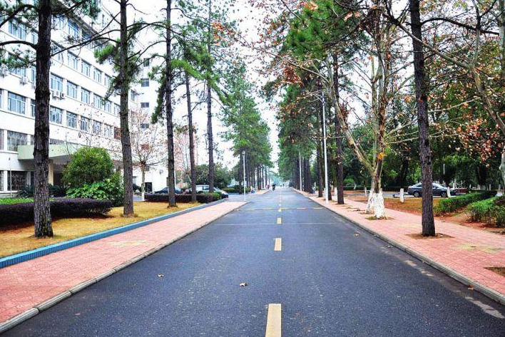211大学前十排名，两财一贸表现“亮眼”，南京理工跻身前五