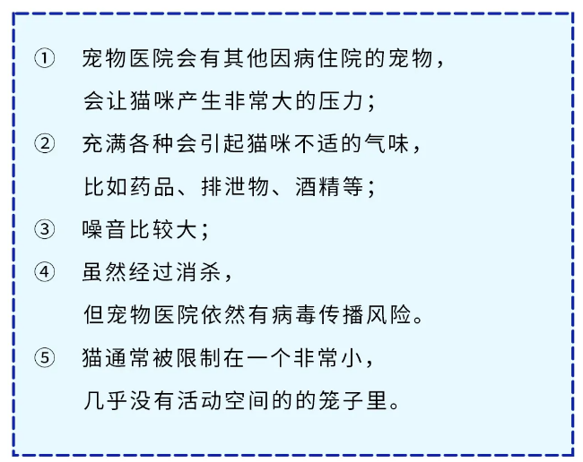 宠物店？宠医院？哪种寄养方式最适合猫咪？