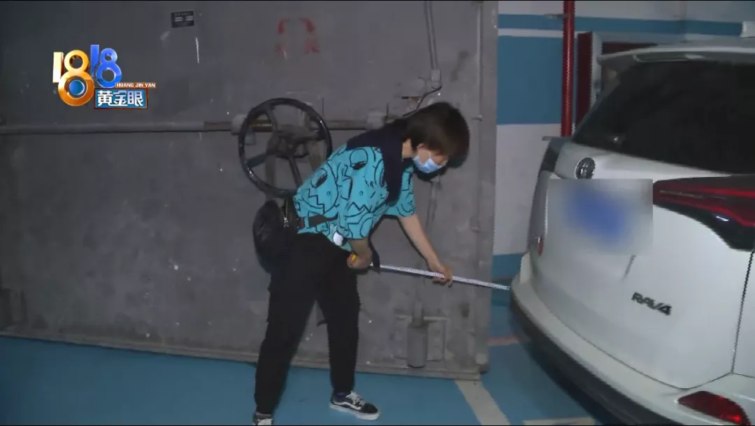 十里风荷“子母车位”，“海宁鸿嘉”不谈规范？