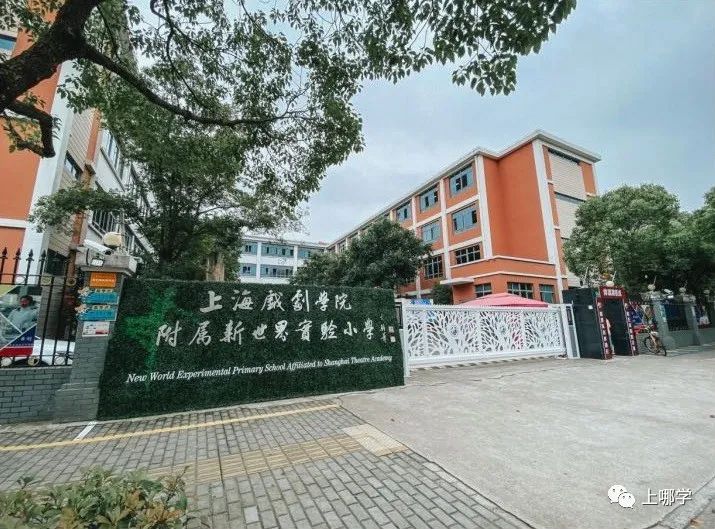 不对口也能进！上海3所优质公办小学非地段录取，今年招生变化大