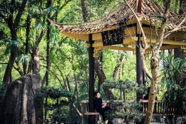 国家支持、人才缺口大！这些“热门”文科专业一定要了解！