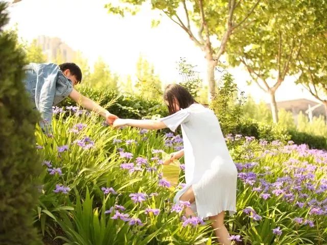 多少分能上郑州商学院？今年该校增加在豫本科招生计划近300人