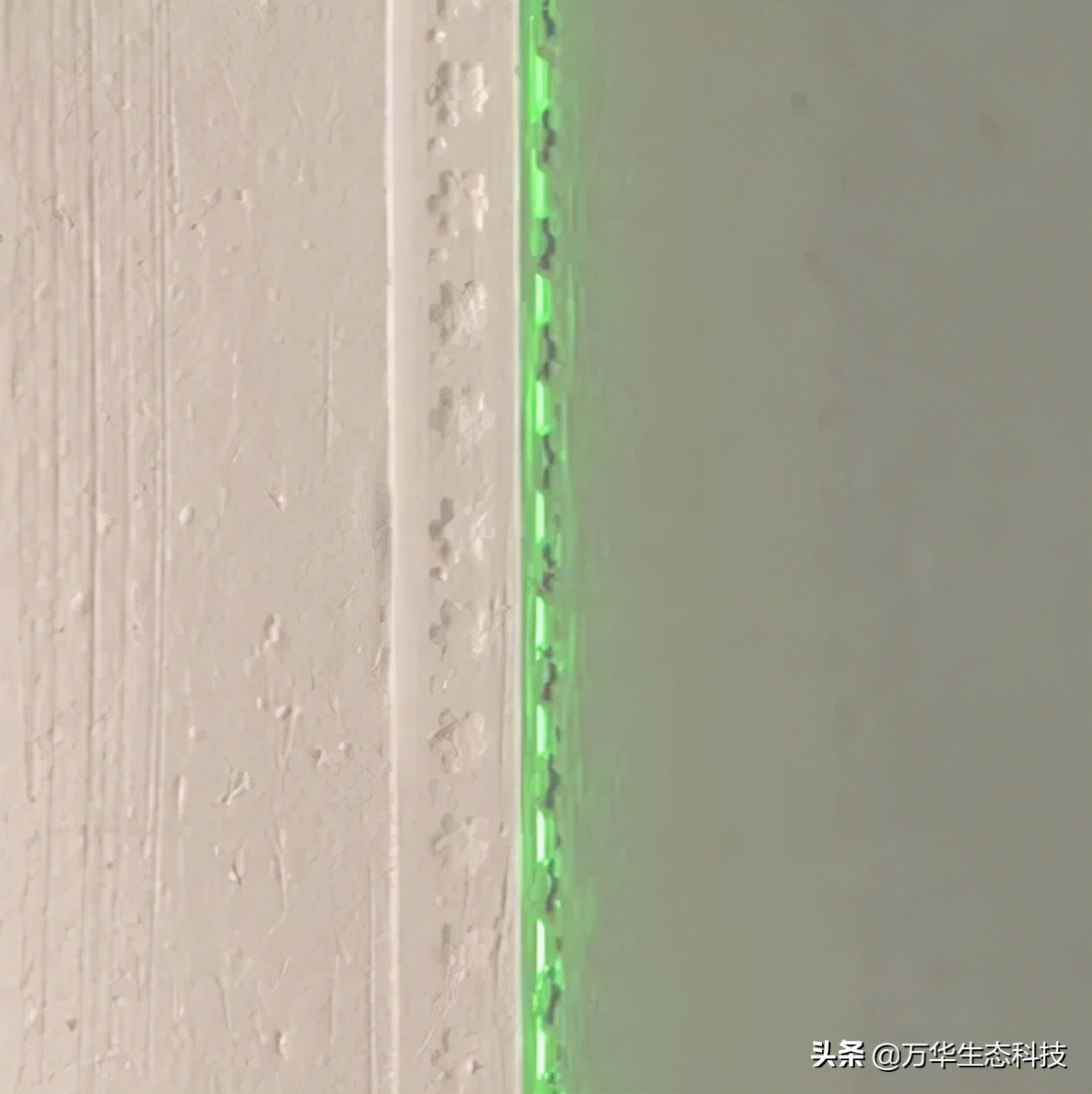 萬華靈荃無醛防水膩?zhàn)?| 無醛、防水、不起皮、不掉粉