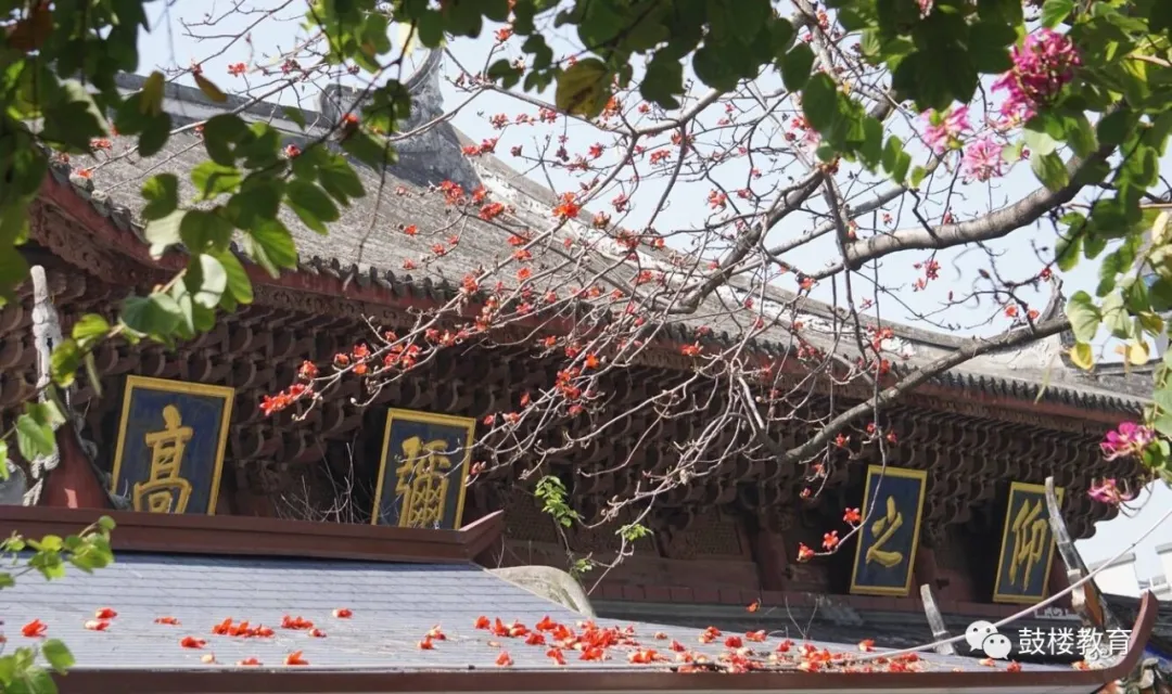 文明风•最美校园竞晒｜福州延安中学教育集团