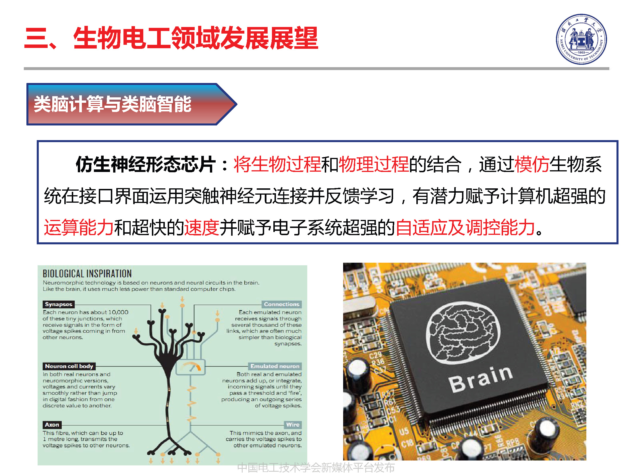 河北工業(yè)大學(xué)徐桂芝教授:大健康背景下生物電工領(lǐng)域的機(jī)遇與挑戰(zhàn)