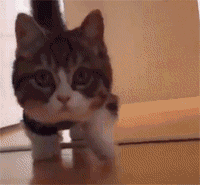 2020版最新法官、检察官表情大全！哈哈哈