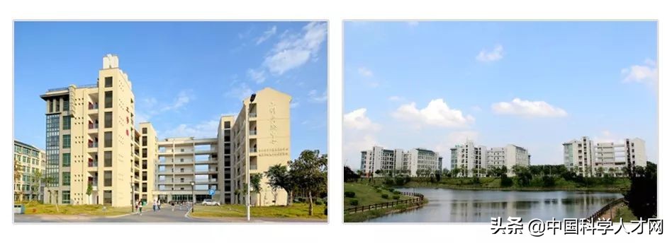 住房补贴+安家费+补贴+储备金丨广西科技师范学院人才招聘计划