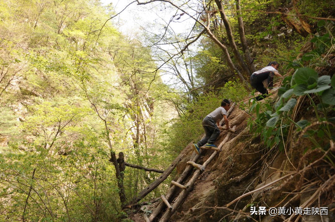 探秘东秦岭，原来从西安到商洛还有这样一条密道，一路都是风景