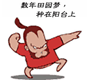 栽種小樹苗，掌握4個(gè)技術(shù)要領(lǐng)，來(lái)年小樹定會(huì)順利開花結(jié)果