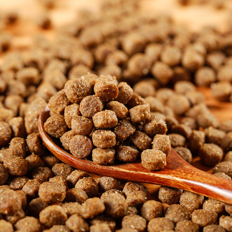 6款狗粮测评,不吹不黑