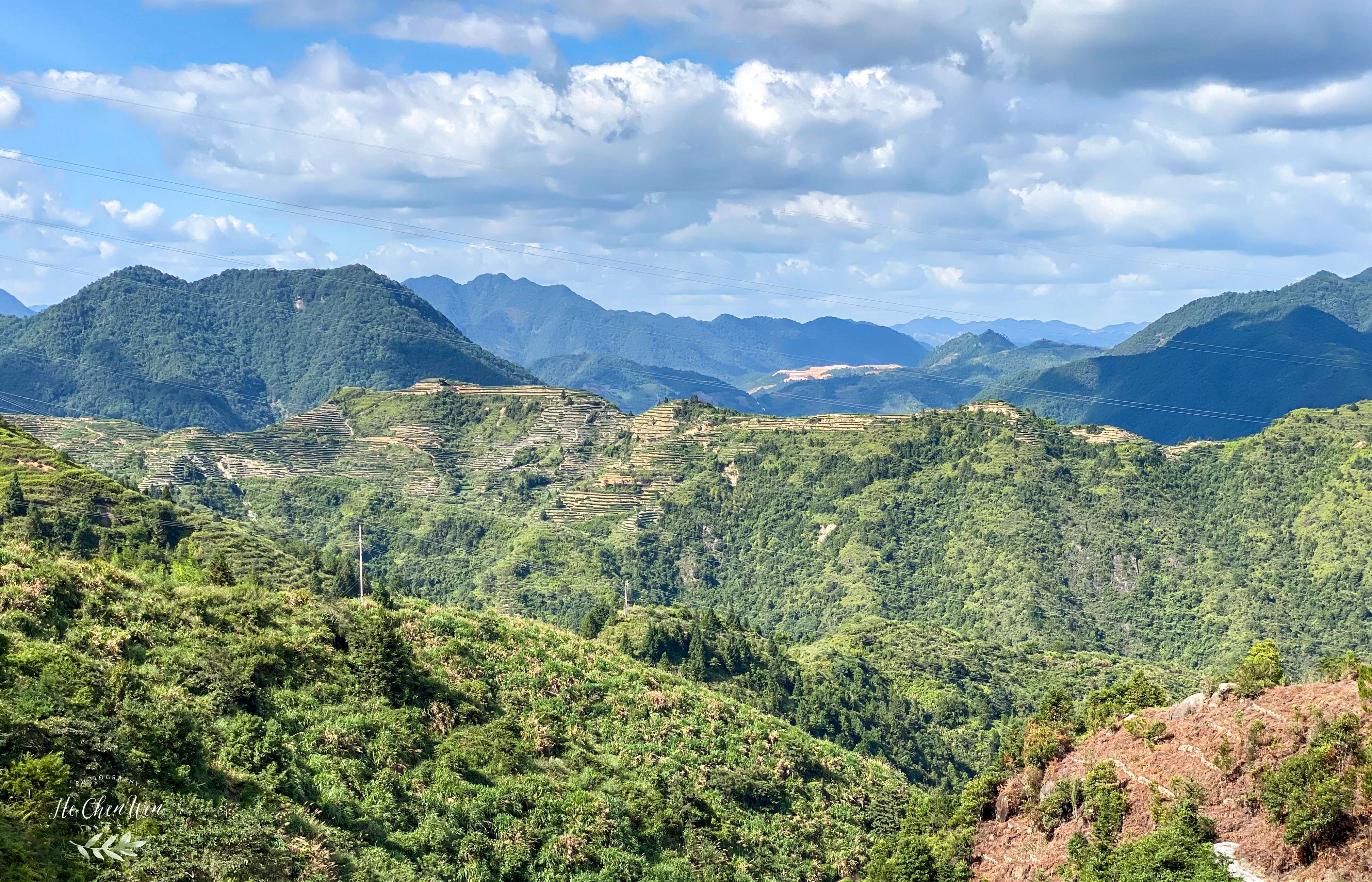 铁观音发源地（探访中国十大名茶之一铁观音的发源地）
